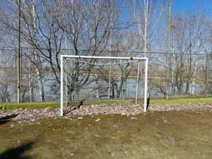 Domeniu splendid 2500 mp teren pe malul lacului Morii, vila 300 mp, Rosu-Chiajna - imagine 9