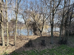 Domeniu splendid 2500 mp teren pe malul lacului Morii, vila 300 mp, Rosu-Chiajna - imagine 10