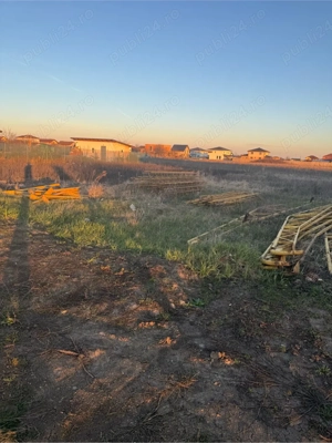 structura hala  - imagine 2