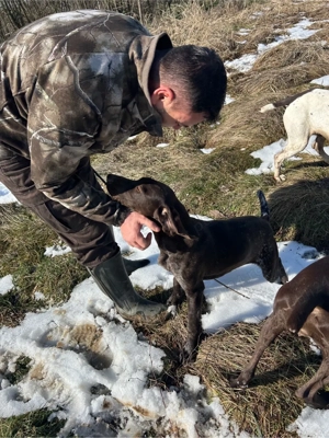 Femela Brac German - imagine 3