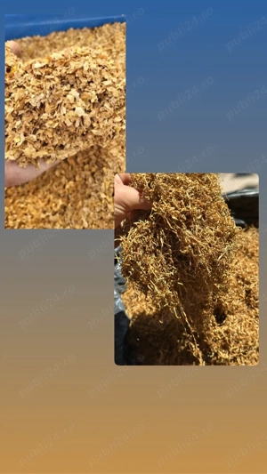 Tutun tocat si firicel