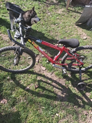 vand bicicleta - imagine 3