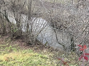 Vind parcela  livada pruni  in BREB 