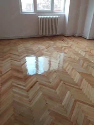 Zugrav cu experiență  - imagine 4