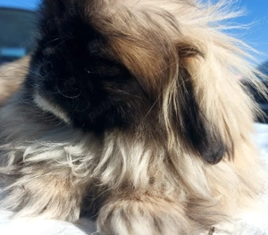 Baiat de 4 luni, vaccinat si carnet