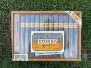 Cohiba Esplendidos 25 Robustos  trabucuri cubaneze - imagine 2