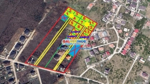 Mogosoaia 718 Mp Livezilor - imagine 5