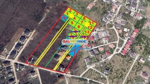 Mogosoaia 718 Mp Livezilor - imagine 6