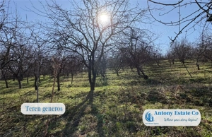 Casa cu Livada – proprietate deosebita cu livada si curte mare - imagine 14