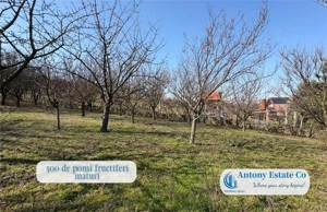 Casa cu Livada – proprietate deosebita cu livada si curte mare - imagine 10