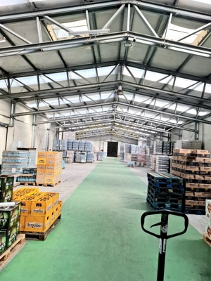 Depozit + 2600 mp teren - imagine 4