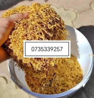 firicel de calitate superioara 