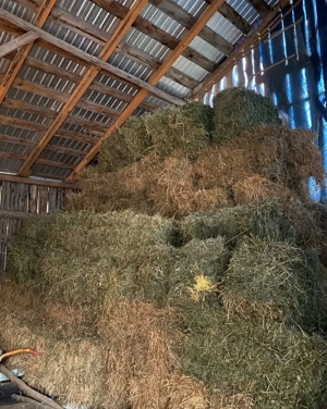 Baloți de lucernă cu fân