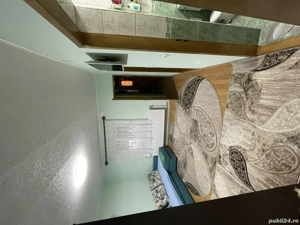 Vând imobil cu 5 camere, Aradul Nou, zona Tabacovici Preț Nou - imagine 5