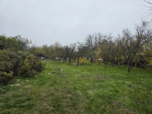 Vand Case comuna Vedea judetul Giurgiu - imagine 4