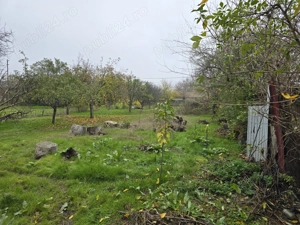 Vand Case comuna Vedea judetul Giurgiu - imagine 3