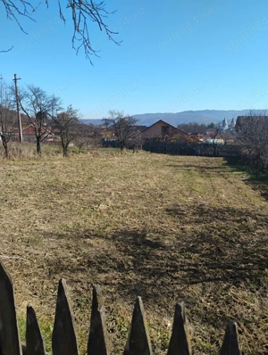 Vând teren intravilan in comuna Mănăstirea Cașin  - imagine 3
