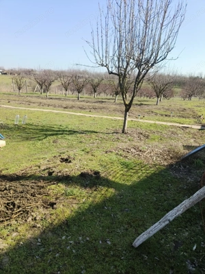 Casa de vanzare Valcelele, CL - imagine 5