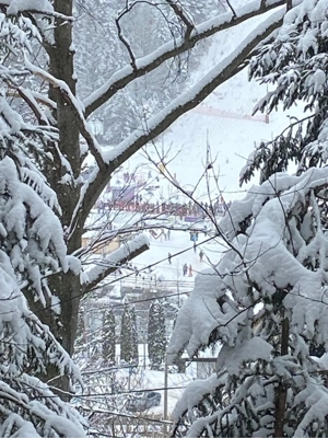 Apartament cu 2 camere Azuga zona partia Sorica cu vedere panoramica - imagine 9