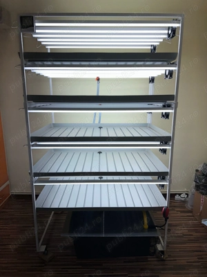 Sistem hidroponic complet  microplante