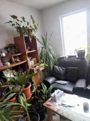 Casa de vanzare - imagine 2