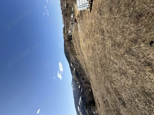 Teren în zona de munte  - imagine 4