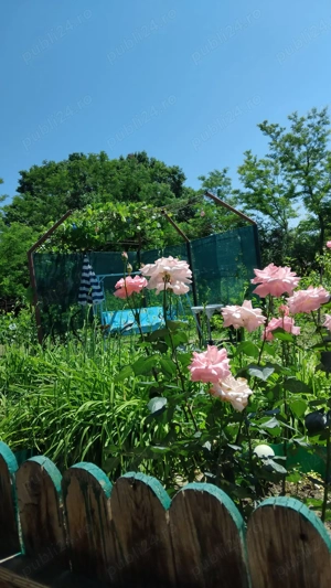 Casă locuibilă cu 1400 mp teren, vie pe rod și livadă   aproape  de A2  Ștefănești, Călărași