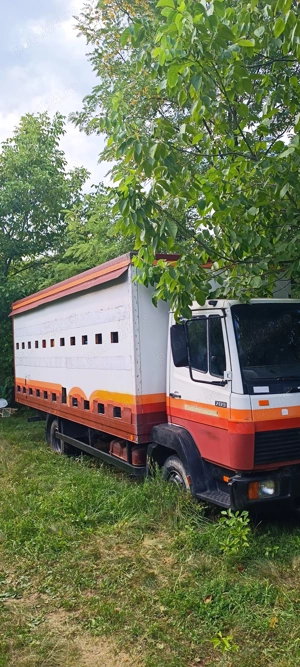 Camion omologat apicol - imagine 4