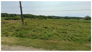 Teren 18.480 mp de vânzare  Berlești, Gorj