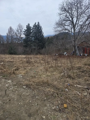 Teren de vânzare  - imagine 5