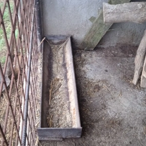 Vând 2 troci  - imagine 2