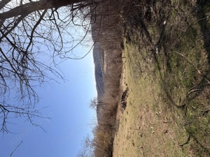 Vand Teren 2700m3 in Comuna Lelese Jud Hunedoara - imagine 2