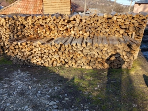 De vânzare lemne esență fag 