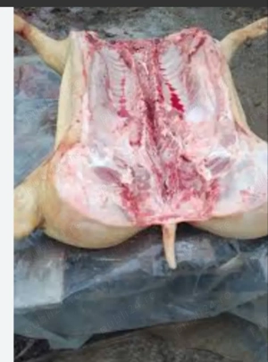 disponibil sfert 15 martie