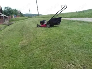 Intretinere si amenajare spatii verzi