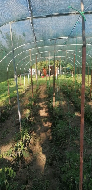 Vând teren intravilan 889 m  - imagine 6