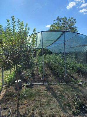 Vând teren intravilan 889 m  - imagine 3