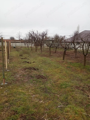 Teren intravilan Boldești Gradiște  - imagine 3