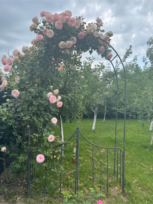 Vila premium  Corbeanca - imagine 9