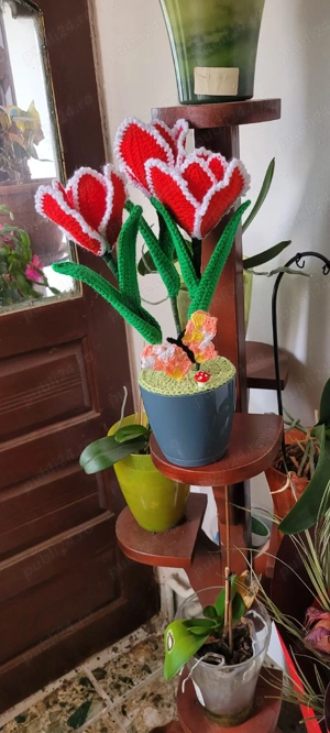 lalea crosetata - imagine 2