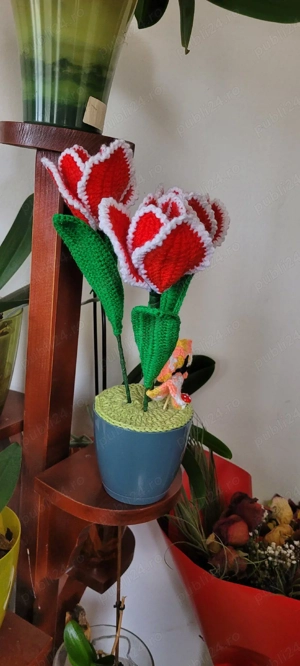 lalea crosetata - imagine 3