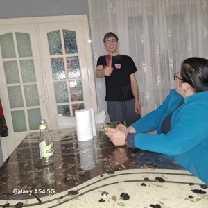 Porci de vânzare  - imagine 4