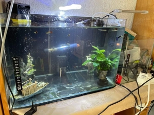 Acvariu pești 50 litri 