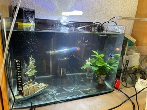 Acvariu pești 50 litri  - imagine 3