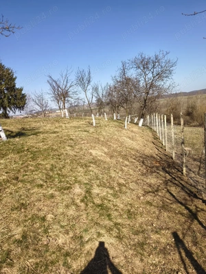 Gradina in extravilan - imagine 3