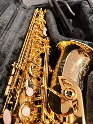 Saxofon Thomann Tas 350, stare impecabila