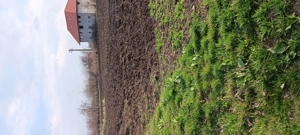 Vand Teren de Casa 4000m - imagine 9