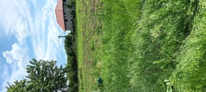 Vand Teren de Casa 4000m - imagine 10