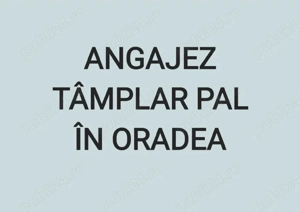 Angajez tamplar in mobilier pal în Oradea
