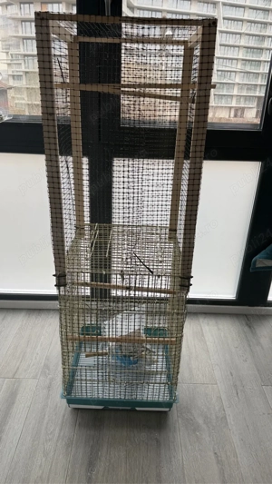 cusca perusi papagali - imagine 3